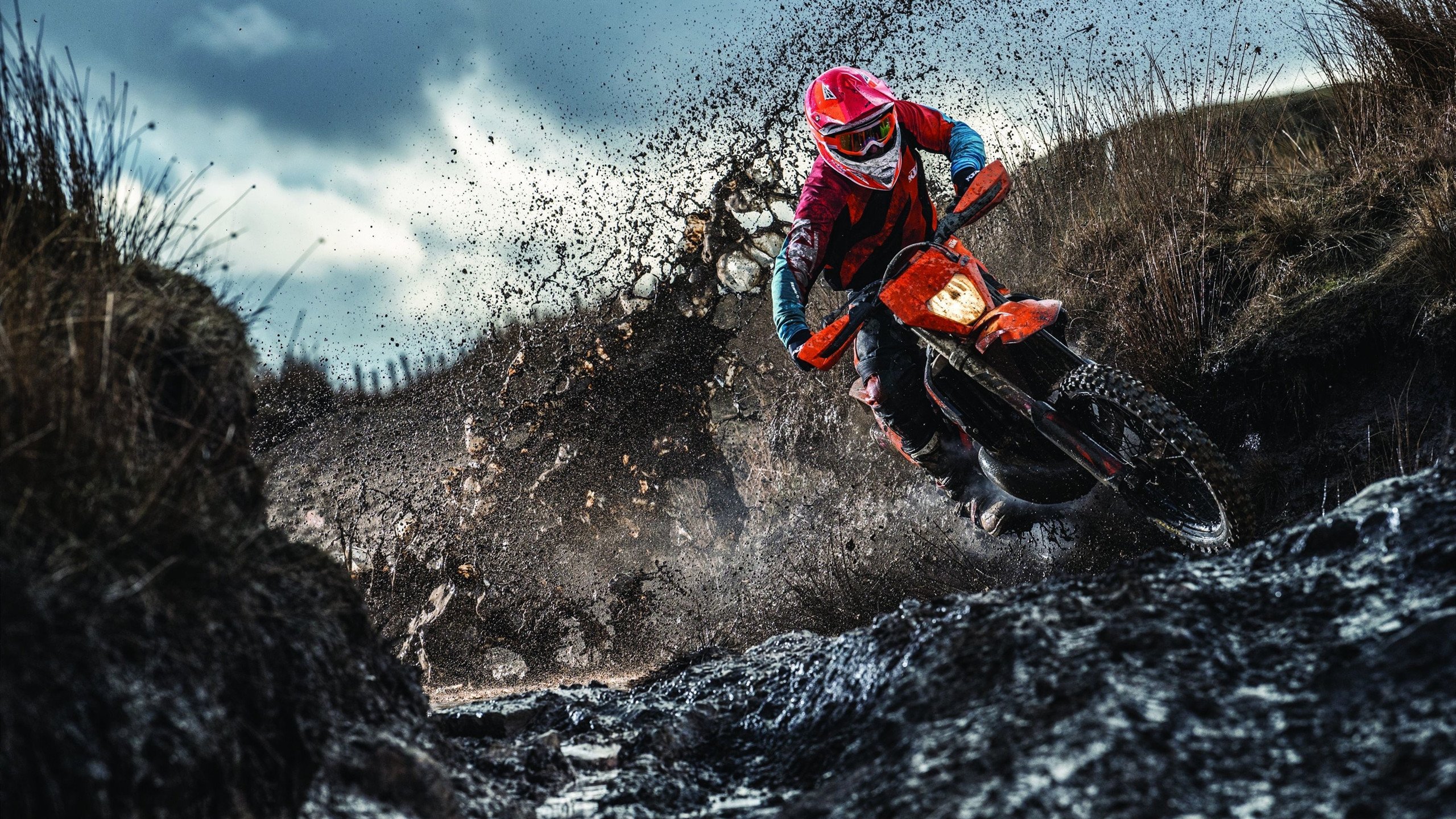 库里策划亲子训练视频引发模仿潮，库里讲解